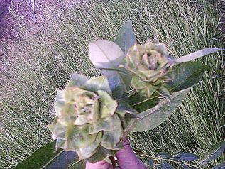 Подведены итоги районного конкурса 